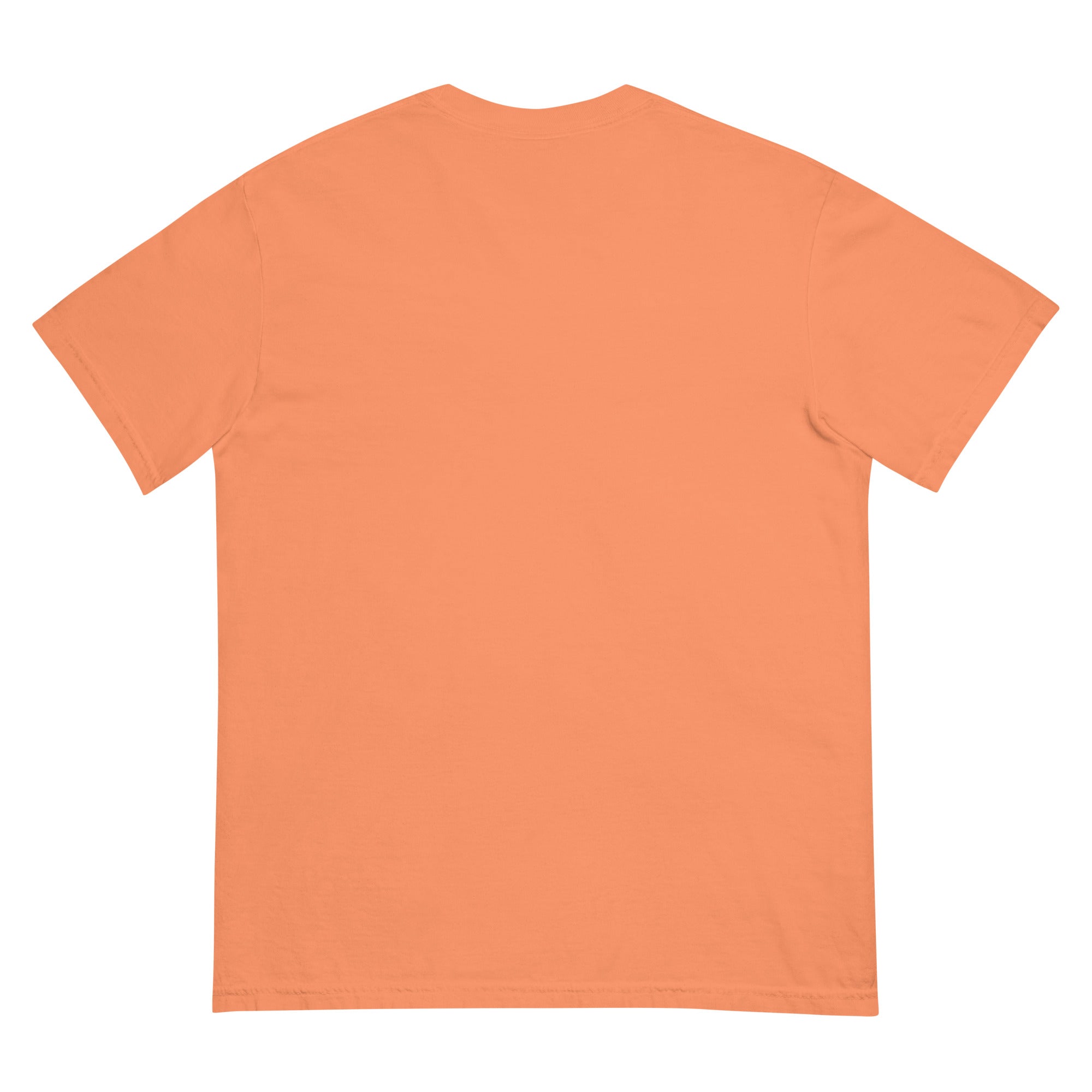 Unisex garment-dyed heavyweight t-shirt - MISTER P-BODY PRINTS
