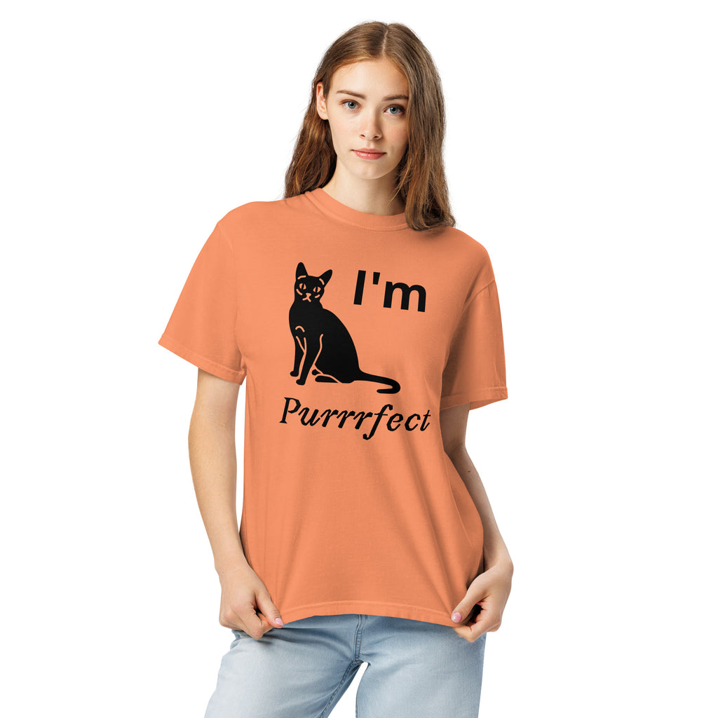 Unisex garment-dyed heavyweight t-shirt - MISTER P-BODY PRINTS