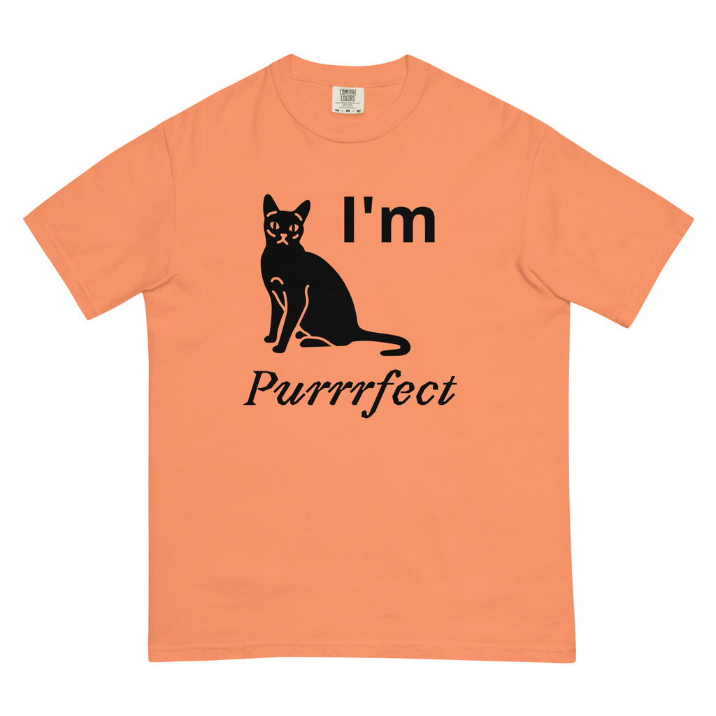 Unisex garment-dyed heavyweight t-shirt - MISTER P-BODY PRINTS