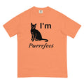 Unisex garment-dyed heavyweight t-shirt - MISTER P-BODY PRINTS