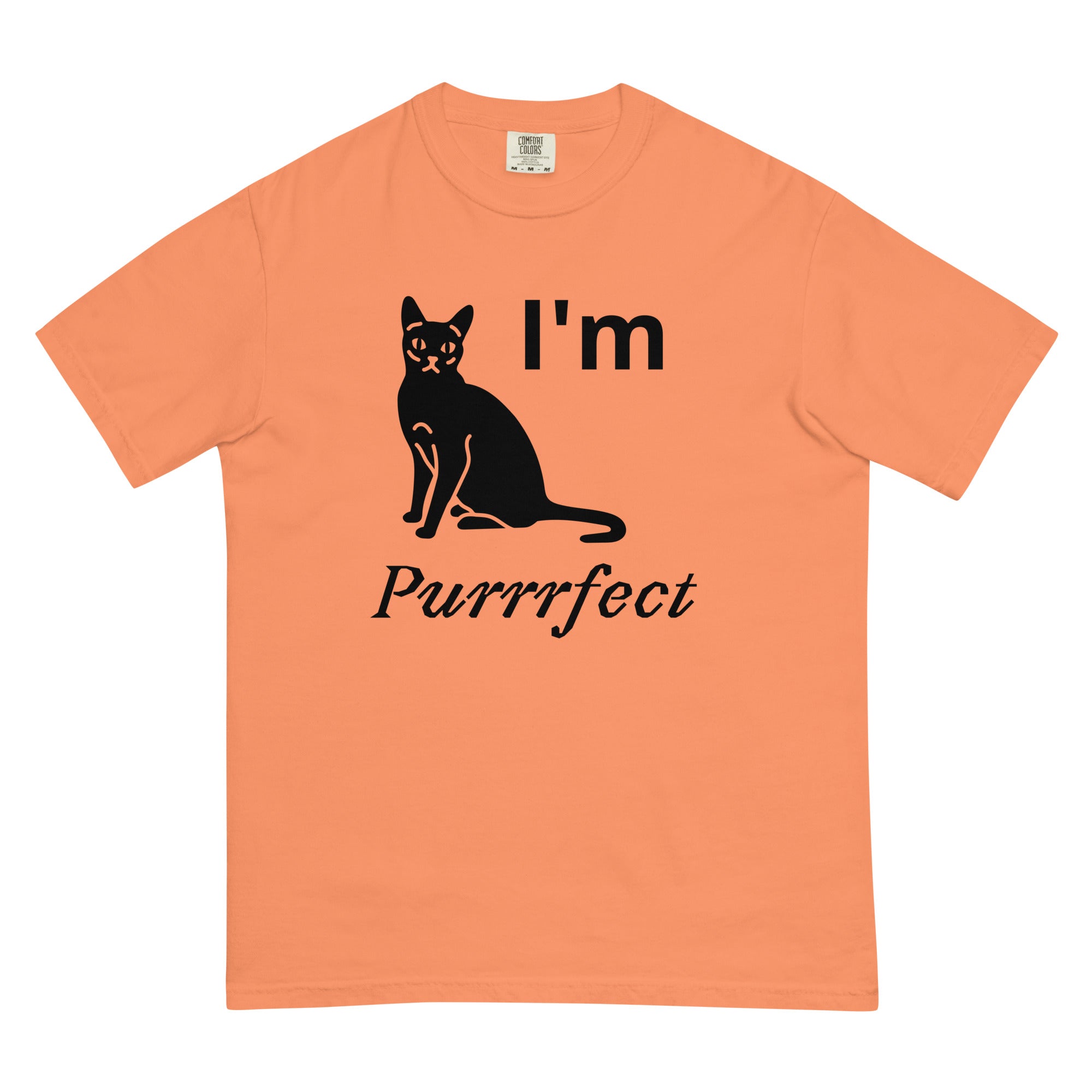 Unisex garment-dyed heavyweight t-shirt - MISTER P-BODY PRINTS